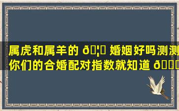 属虎和属羊的 🦆 婚姻好吗测测你们的合婚配对指数就知道 🐒 了！